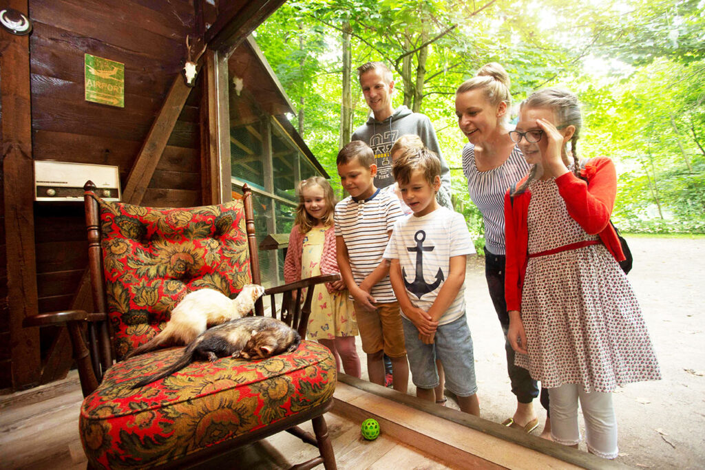 Frettchen Otterzentrum
