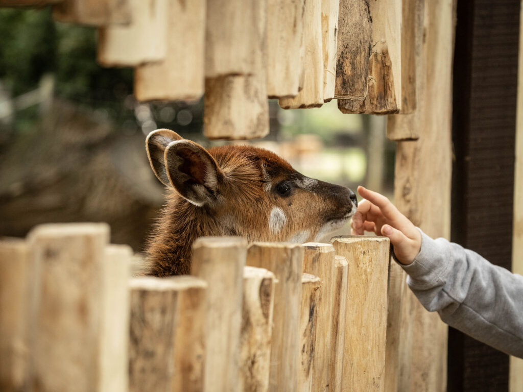 Tierpark Ströhen