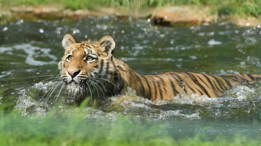 Tierpark Ströhen